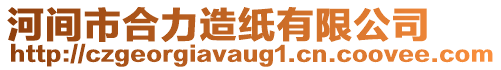 河間市合力造紙有限公司