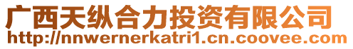 廣西天縱合力投資有限公司