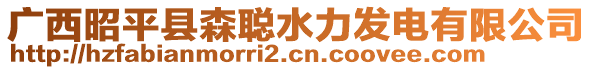 廣西昭平縣森聰水力發(fā)電有限公司