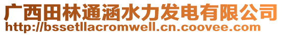 廣西田林通涵水力發(fā)電有限公司