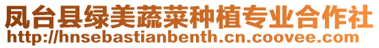 鳳臺縣綠美蔬菜種植專業合作社