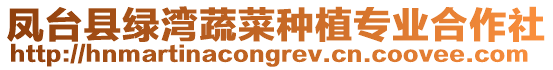 鳳臺縣綠灣蔬菜種植專業(yè)合作社