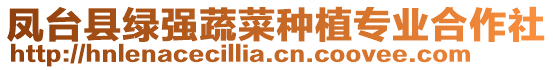 鳳臺縣綠強蔬菜種植專業合作社