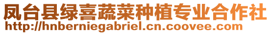 鳳臺(tái)縣綠喜蔬菜種植專業(yè)合作社