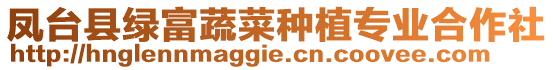 鳳臺縣綠富蔬菜種植專業合作社