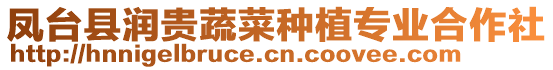 鳳臺(tái)縣潤貴蔬菜種植專業(yè)合作社