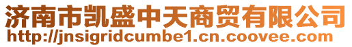 濟南市凱盛中天商貿有限公司
