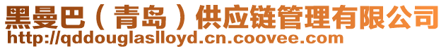 黑曼巴(青島)供應(yīng)鏈管理有限公司