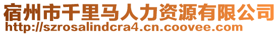 宿州市千里馬人力資源有限公司