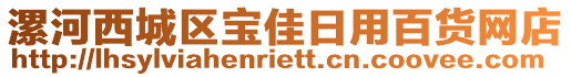 漯河西城區(qū)寶佳日用百貨網(wǎng)店