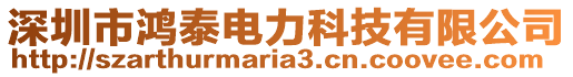 深圳市鴻泰電力科技有限公司