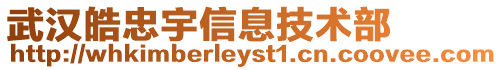 武漢皓忠宇信息技術(shù)部