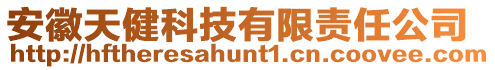 安徽天健科技有限責任公司