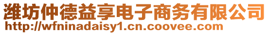 濰坊仲德益享電子商務(wù)有限公司