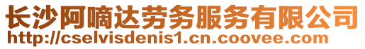 長(zhǎng)沙阿嘀達(dá)勞務(wù)服務(wù)有限公司