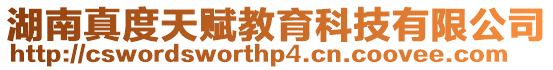 湖南真度天賦教育科技有限公司