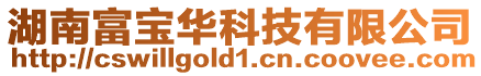 湖南富寶華科技有限公司