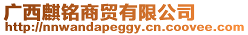 廣西麒銘商貿有限公司
