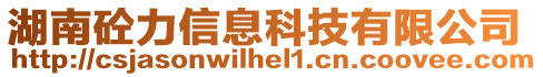 湖南砼力信息科技有限公司