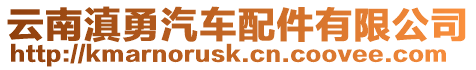 云南滇勇汽車配件有限公司