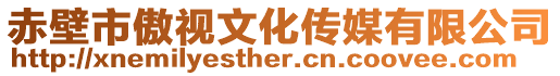 赤壁市傲視文化傳媒有限公司