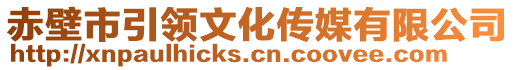 赤壁市引領文化傳媒有限公司