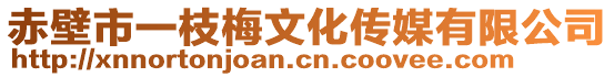 赤壁市一枝梅文化傳媒有限公司
