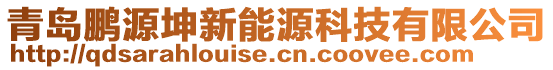 青島鵬源坤新能源科技有限公司