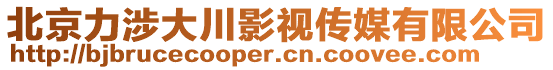 北京力涉大川影視傳媒有限公司