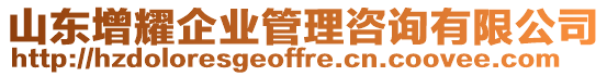 山東增耀企業(yè)管理咨詢有限公司