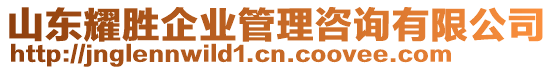 山東耀勝企業(yè)管理咨詢有限公司