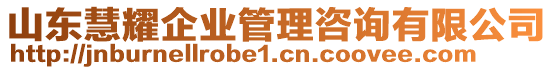 山東慧耀企業(yè)管理咨詢有限公司