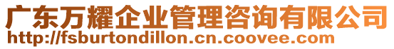 廣東萬耀企業(yè)管理咨詢有限公司