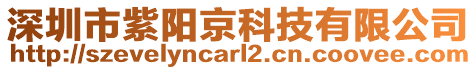 深圳市紫陽京科技有限公司