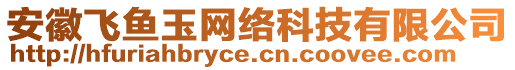 安徽飛魚玉網(wǎng)絡(luò)科技有限公司