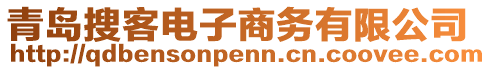 青島搜客電子商務有限公司
