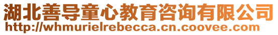 湖北善導(dǎo)童心教育咨詢(xún)有限公司