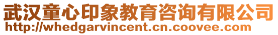 武漢童心印象教育咨詢有限公司