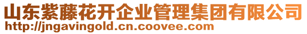 山東紫藤花開企業(yè)管理集團有限公司