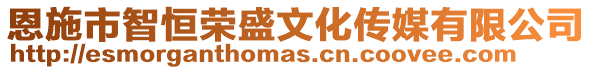 恩施市智恒榮盛文化傳媒有限公司