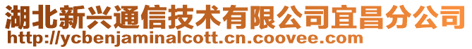 湖北新興通信技術有限公司宜昌分公司