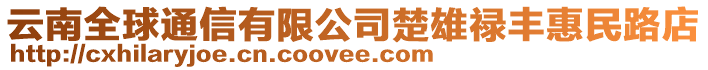 云南全球通信有限公司楚雄祿豐惠民路店