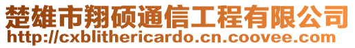 楚雄市翔碩通信工程有限公司