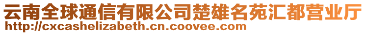 云南全球通信有限公司楚雄名苑匯都營業(yè)廳