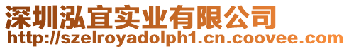 深圳泓宜實(shí)業(yè)有限公司