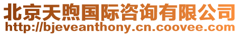 北京天煦國際咨詢有限公司