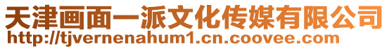 天津畫面一派文化傳媒有限公司