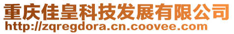 重慶佳皇科技發展有限公司