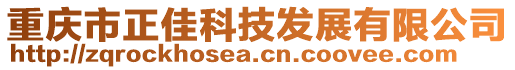 重慶市正佳科技發展有限公司