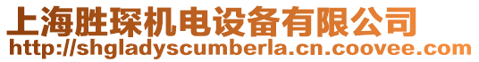 上海勝琛機電設備有限公司